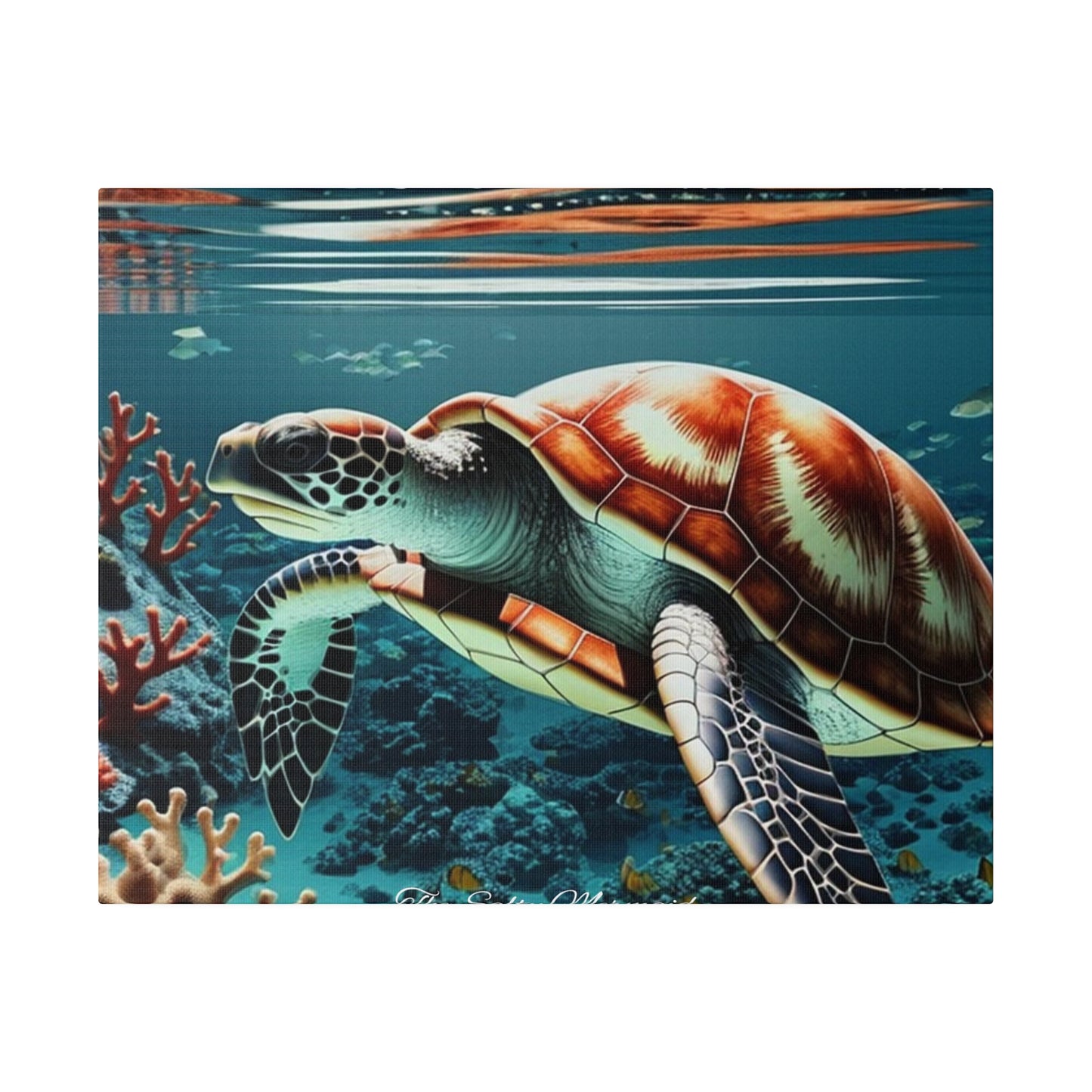 Salty Mermaid Sea Turtle in Coral