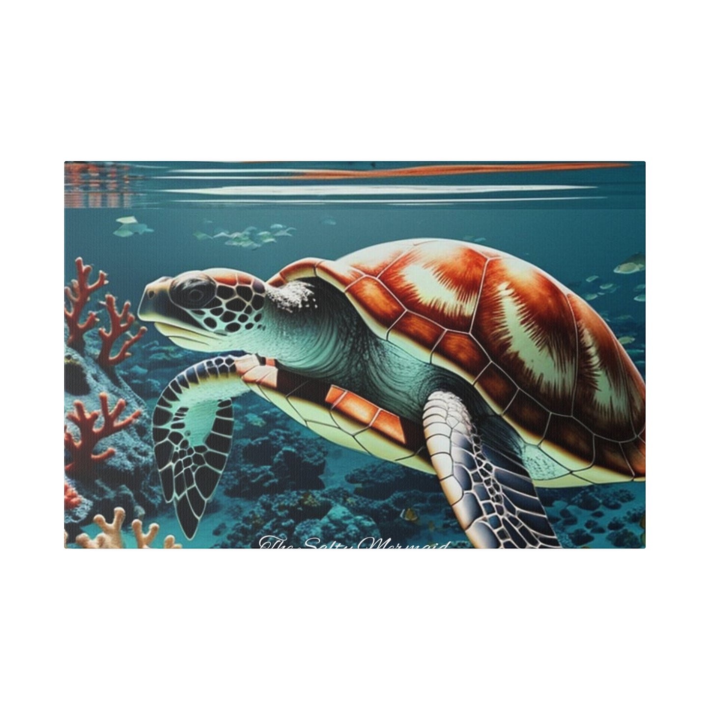 Salty Mermaid Sea Turtle in Coral