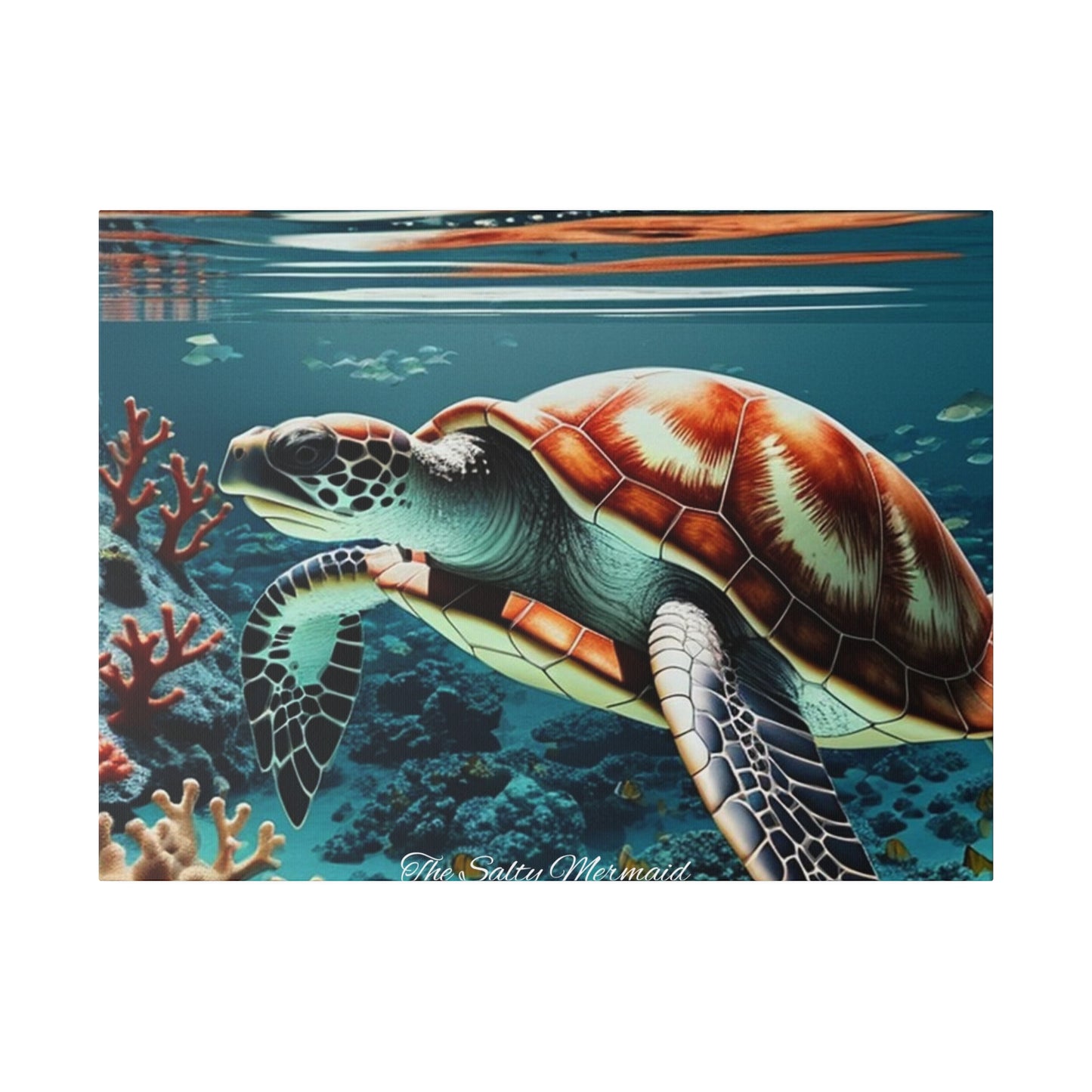 Salty Mermaid Sea Turtle in Coral