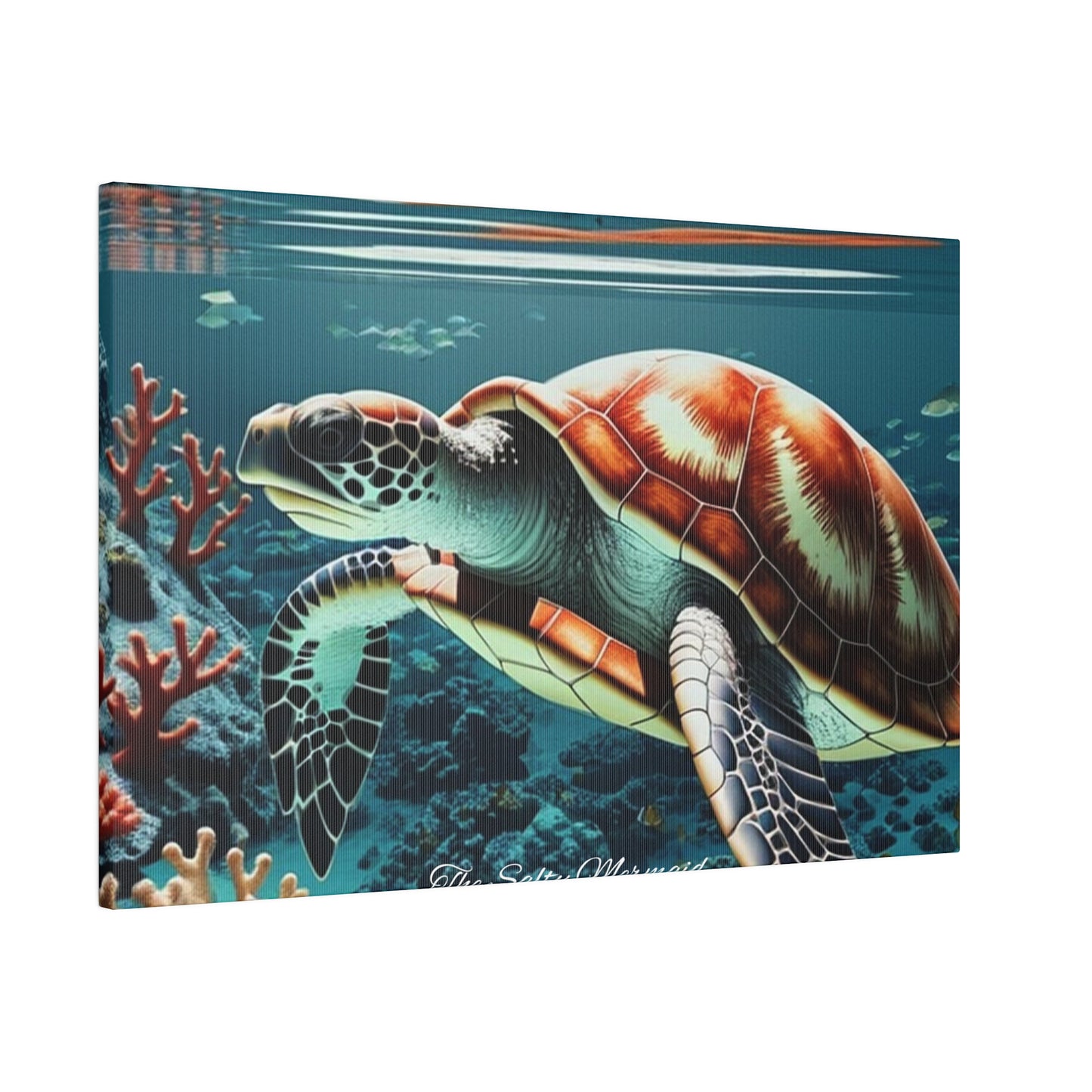 Salty Mermaid Sea Turtle in Coral