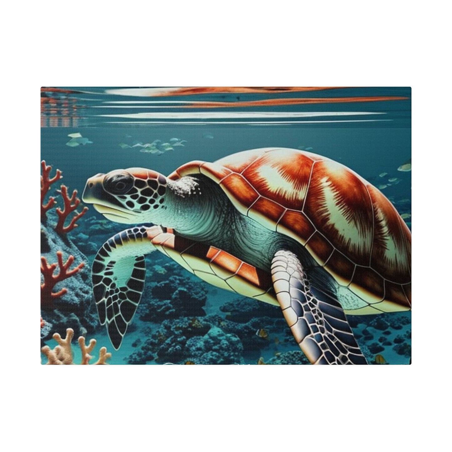 Salty Mermaid Sea Turtle in Coral