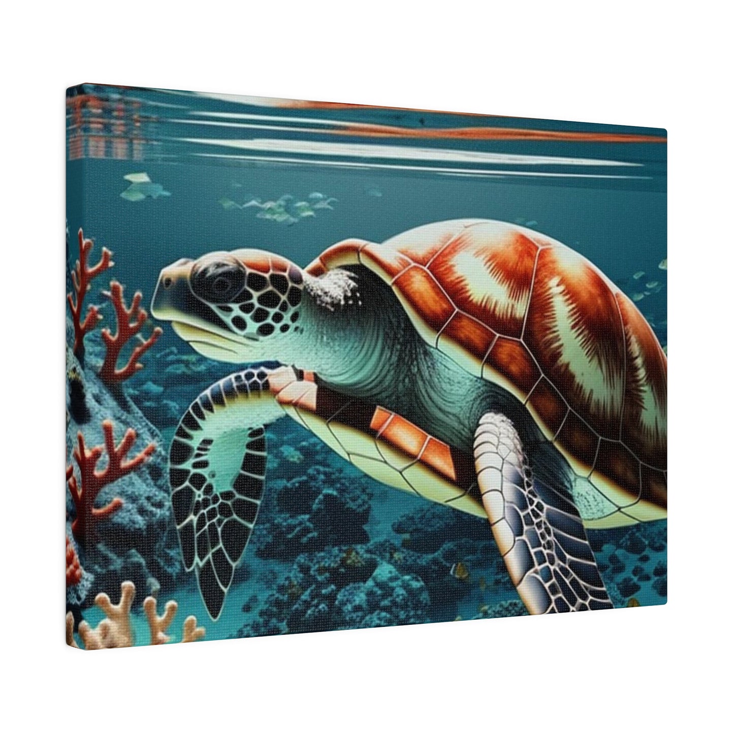 Salty Mermaid Sea Turtle in Coral