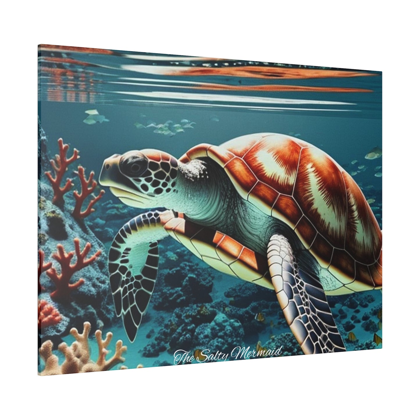 Salty Mermaid Sea Turtle in Coral