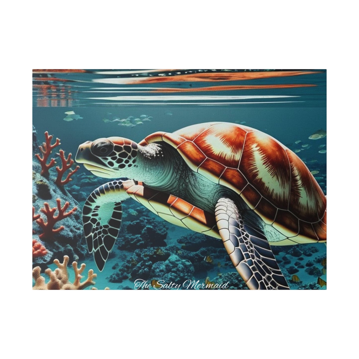 Salty Mermaid Sea Turtle in Coral