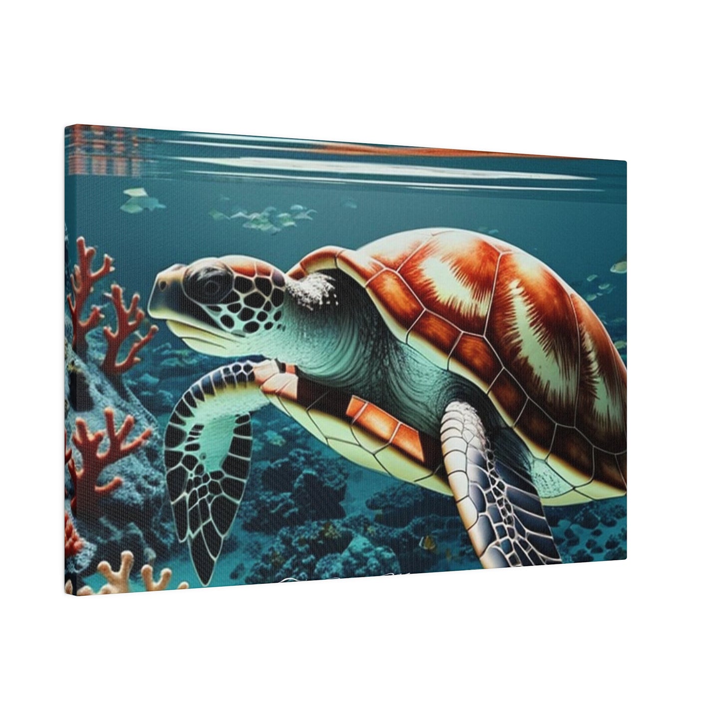 Salty Mermaid Sea Turtle in Coral