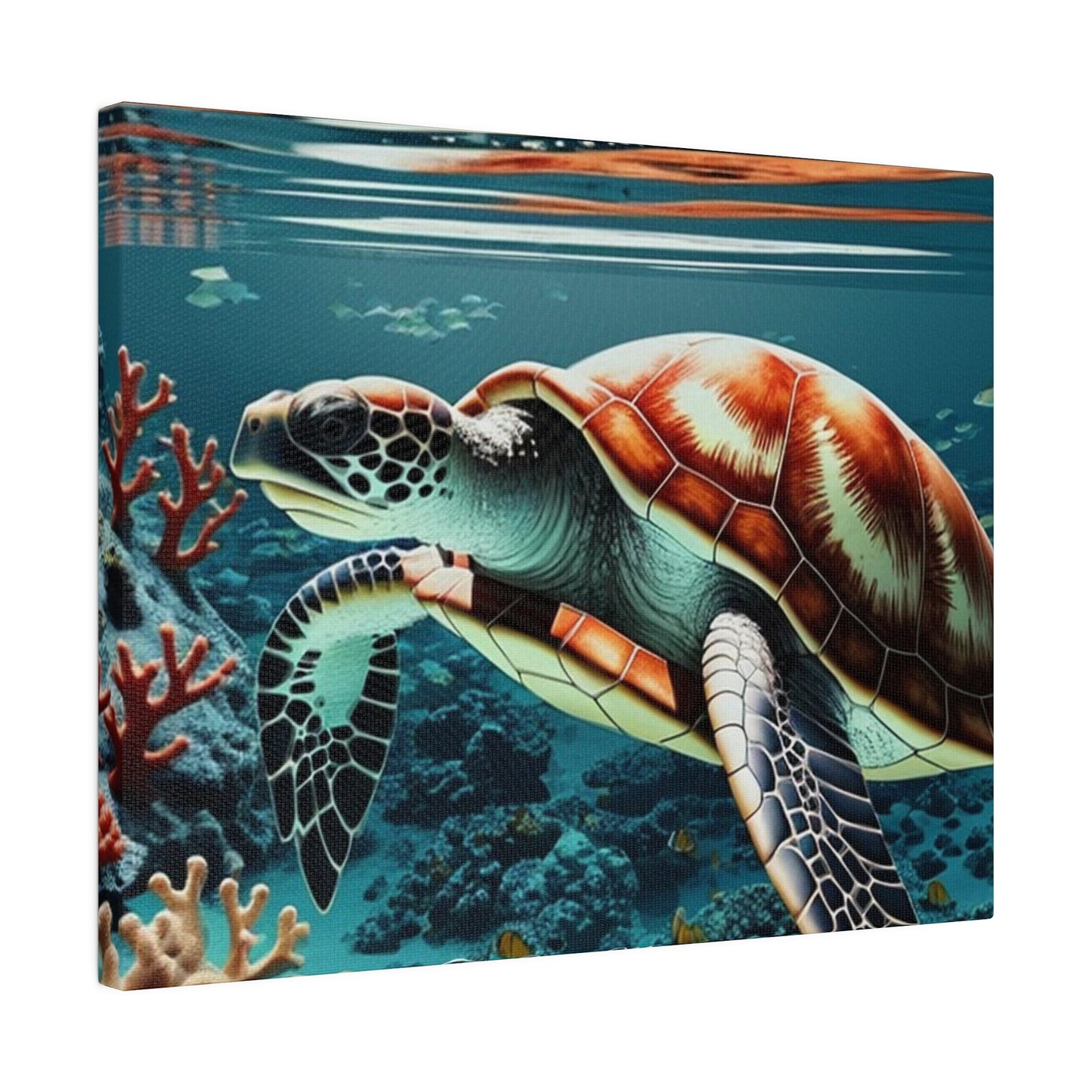 Salty Mermaid Sea Turtle in Coral