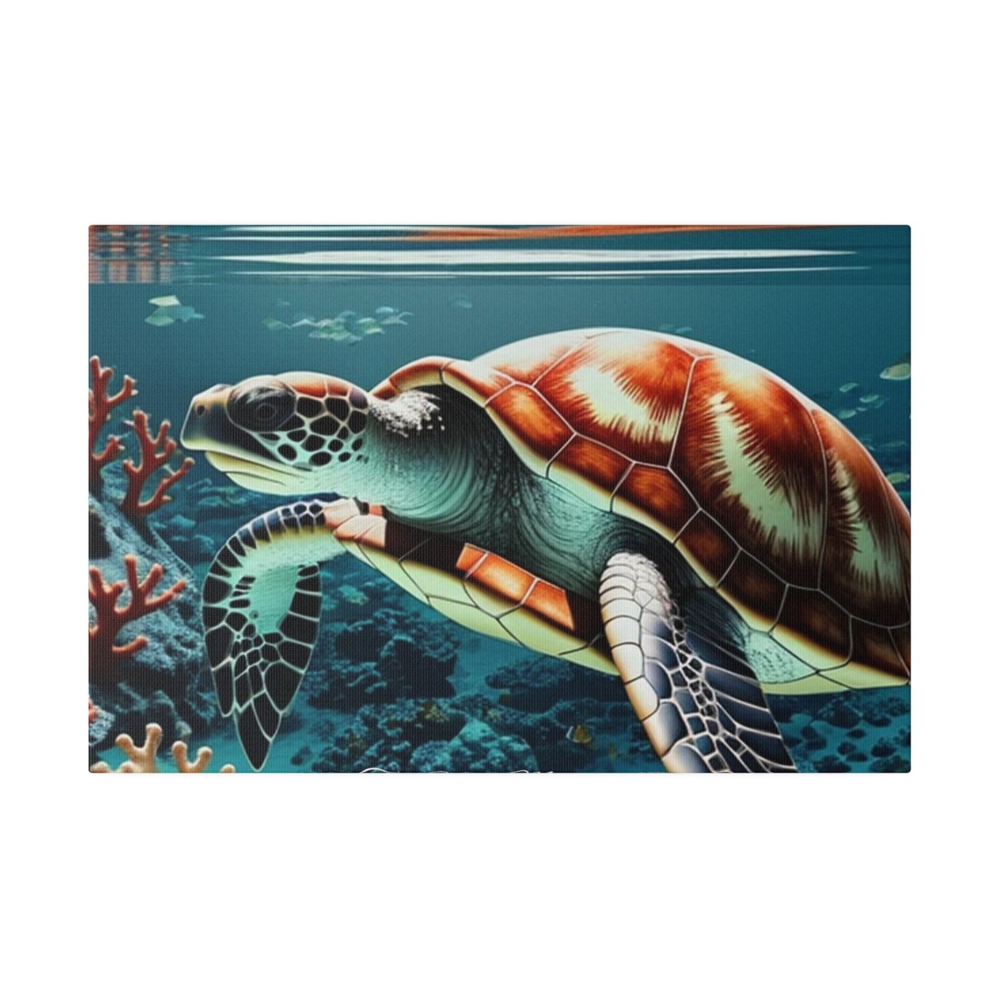 Salty Mermaid Sea Turtle in Coral