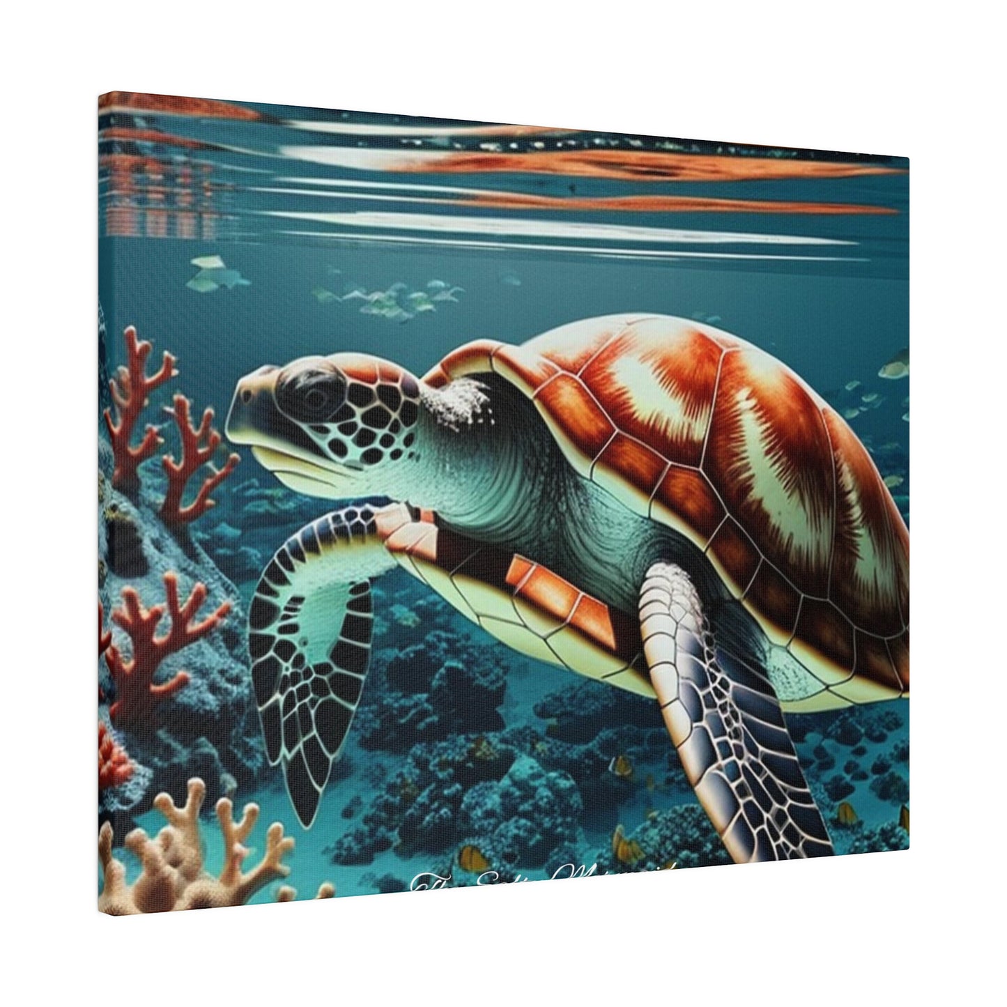 Salty Mermaid Sea Turtle in Coral