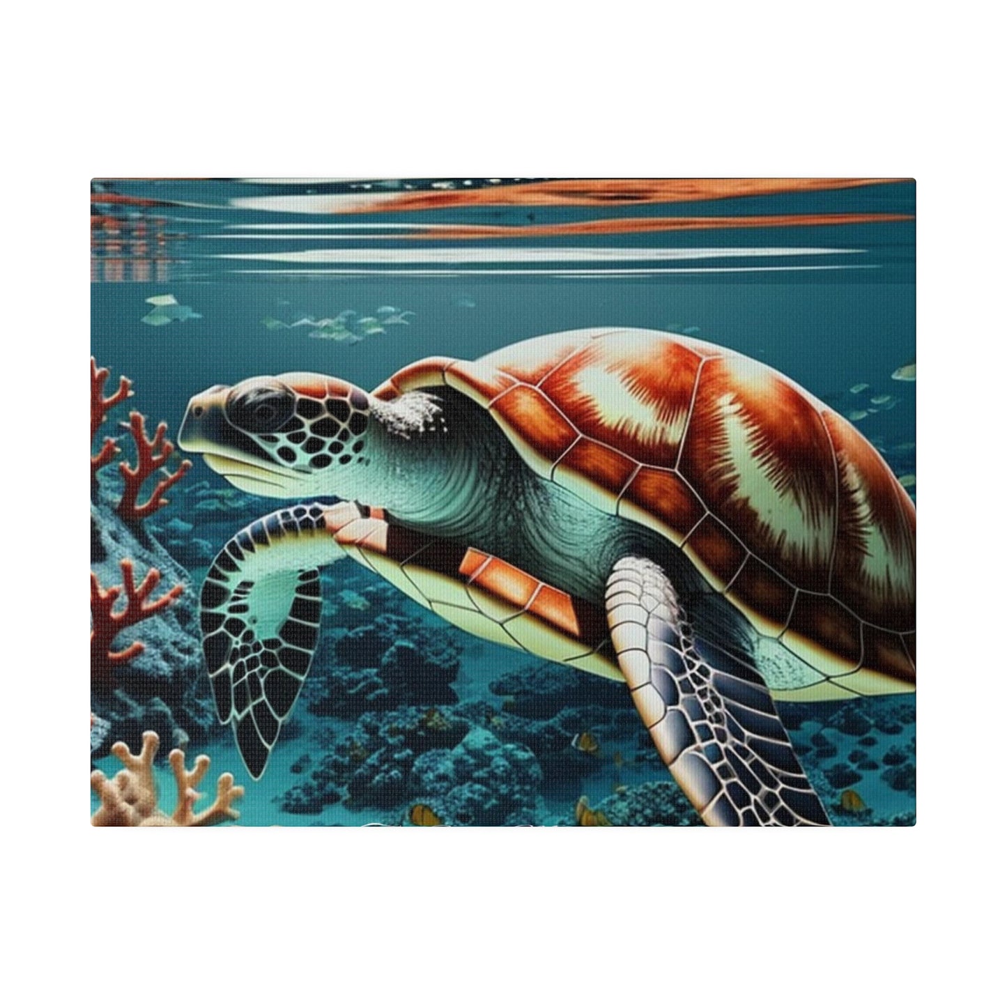 Salty Mermaid Sea Turtle in Coral