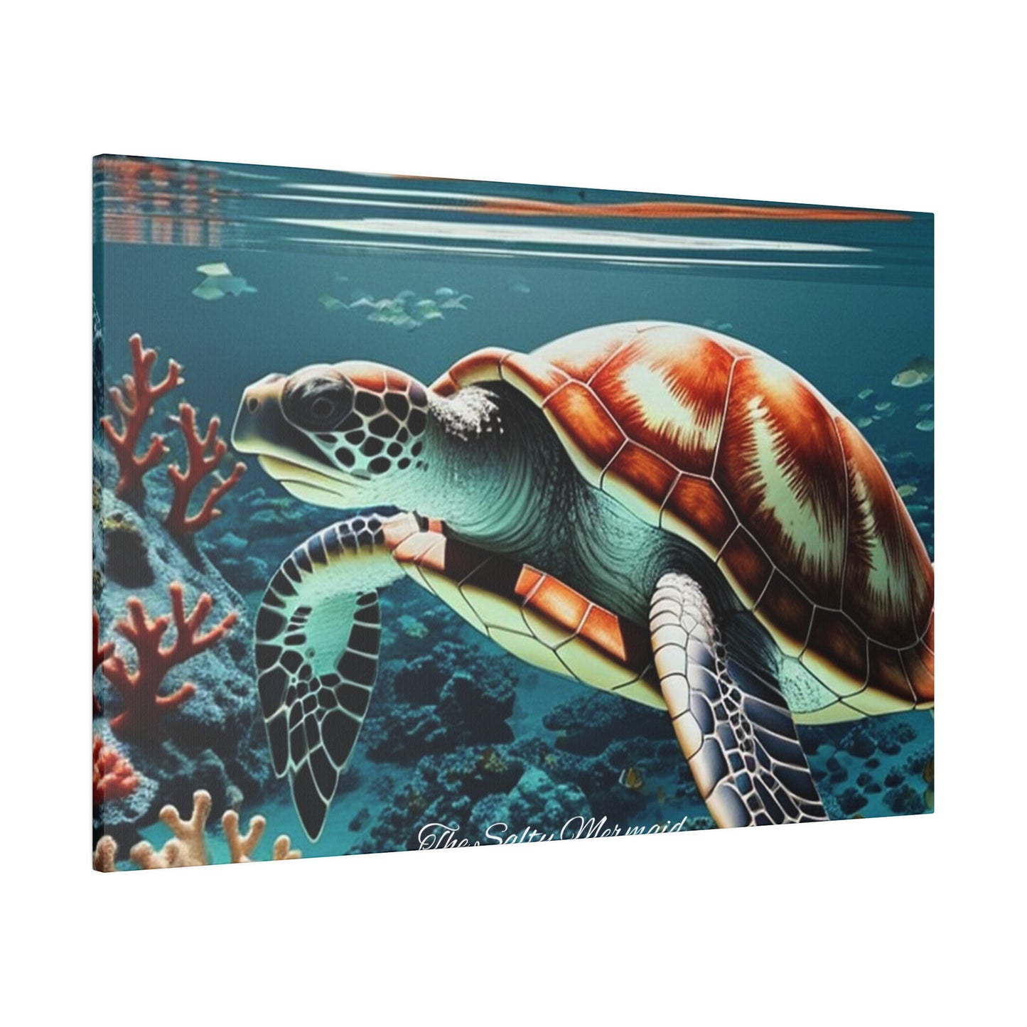 Salty Mermaid Sea Turtle in Coral