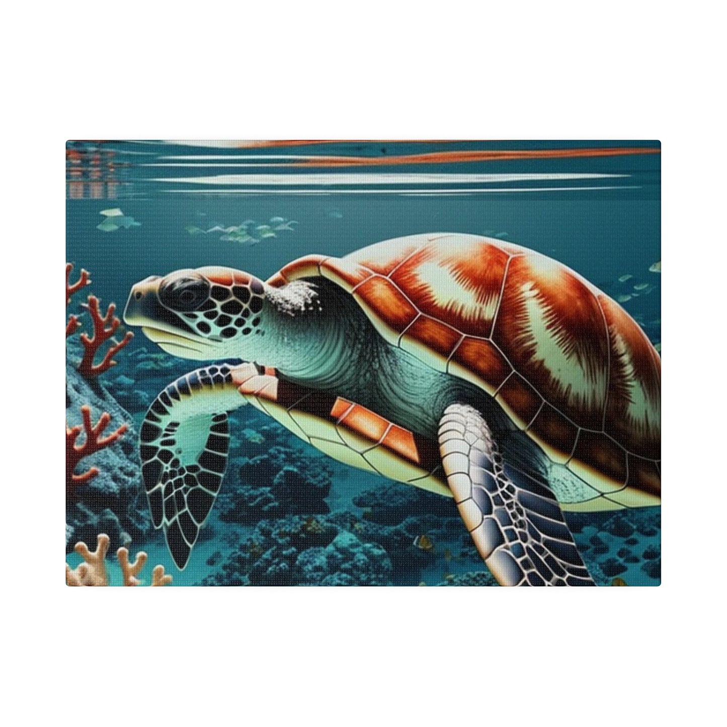 Salty Mermaid Sea Turtle in Coral