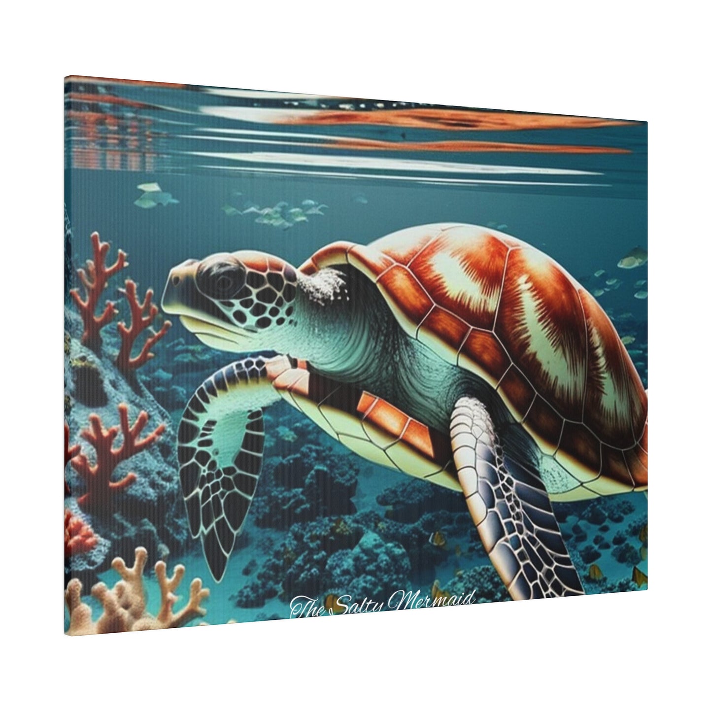 Salty Mermaid Sea Turtle in Coral